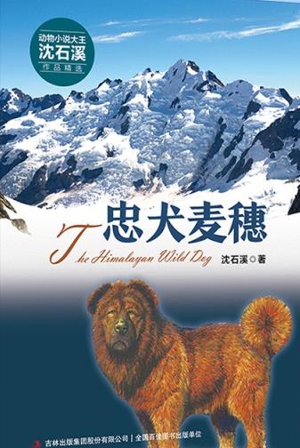 忠犬麦穗读后感300字