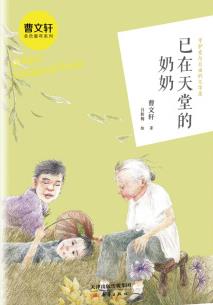 已在天堂的奶奶读后感300字